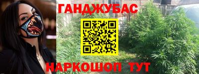 apvp Бердск