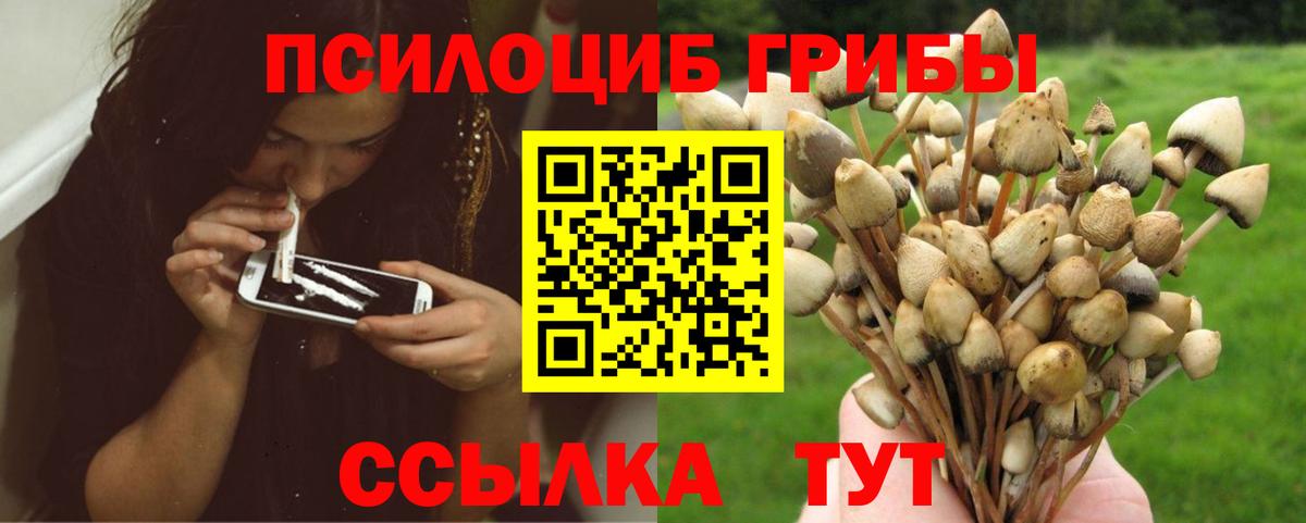 Псилоцибиновые грибы мухоморы  Вход с VPN  Псилоцибиновые грибы GOLDEN TEACHER  Рубцовск 